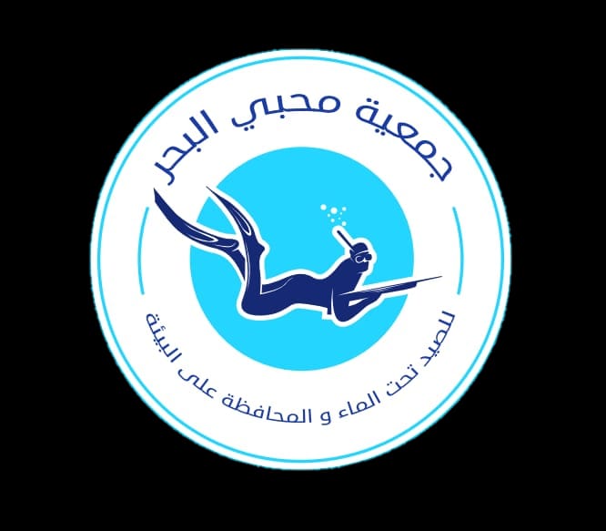 Logo 13